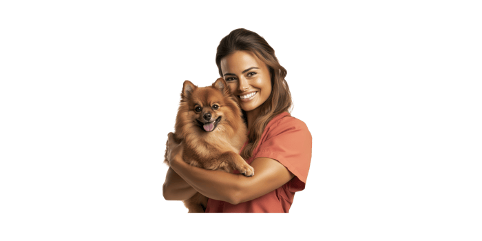 Smiling Veterinarian Holding Pomeranian Dog. Pet Care And Veterinary Services Concept Isolated On Transparent Background png