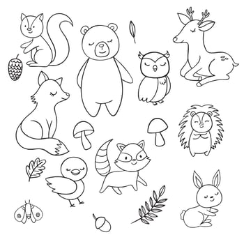 A set of woodland animals and plants for coloring vector