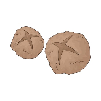 illustration of a meatballs vector