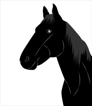 Black horse head silhouette on white background. vector