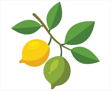 Illustration of a lemon and lime hanging on a branch with leaves. vector