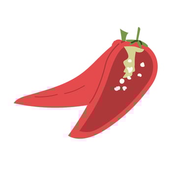 Red chili pepper slice with seeds and green stem illustration vector