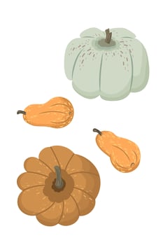Cute autumn pumpkins, orange and white, top and side view. Modern illustration, highlighted on a white background, hand-drawn, flat design vector