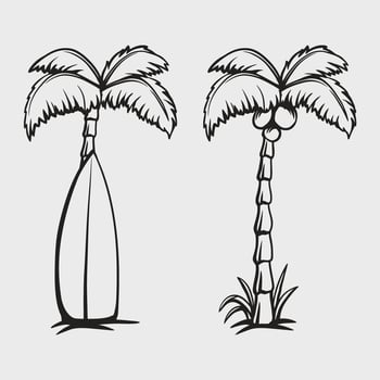 vintage coconut tree vector