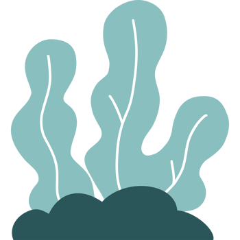 Sea Plant seaweed and Coral on seabed png