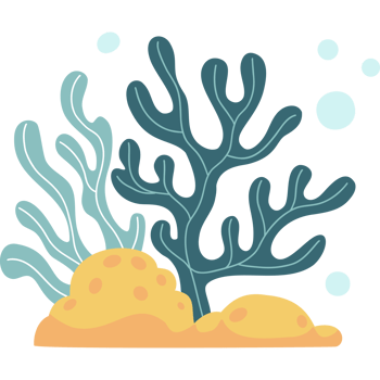 Sea Plants, seaweed and Coral on seabed png