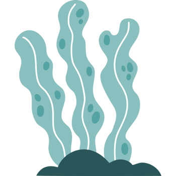 Sea Plant, seaweed and Coral on seabed png