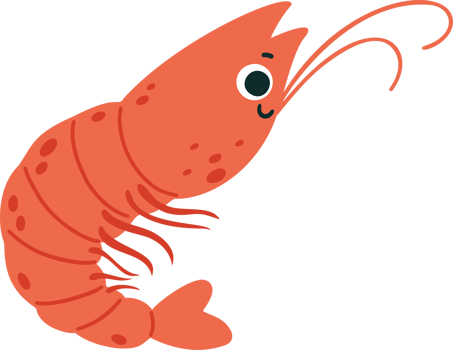 Shrimp Cute animal png