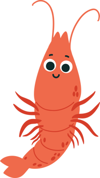 Shrimp. Cute animal png