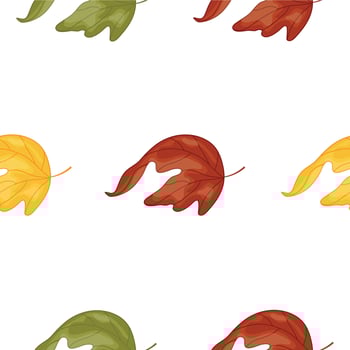 pattern of icons of colored leaves from deciduous trees, namely from maple trees, for autumn textiles, packaging or cards vector