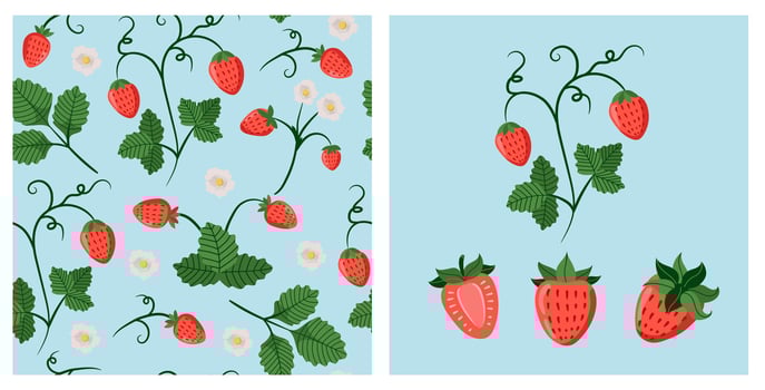 Strawberry pattern and illustrations on blue vector