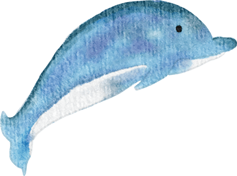 Watercolor Dolphin Illustration png