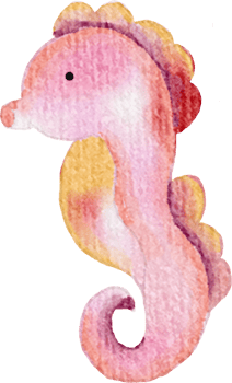 Watercolor Sea Horse Illustration png