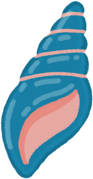 Hand Drawn Spiral Sea Shell in Blue and Peach with Crayon Texture png