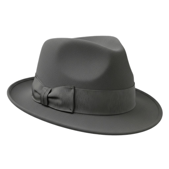Elegant Gray Fedora Hat with Ribbon Band on a Transparent Background png