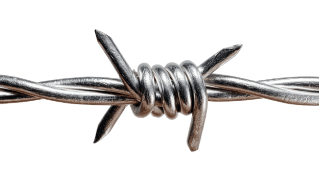 Detailed macro shot showcases a sharp metal barbed wire strand against a transparent background design element png