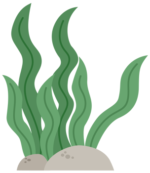 Illustration of Seaweed with Sand png