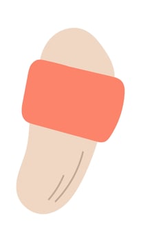 Flip Flops Sandals Flat Illustration vector