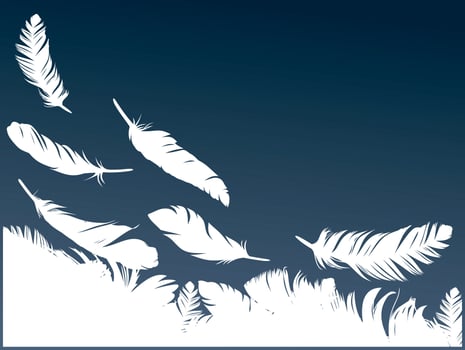Background with feathers. vector