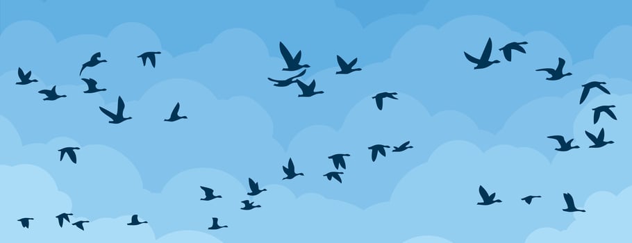 Flight birds in sky. vector