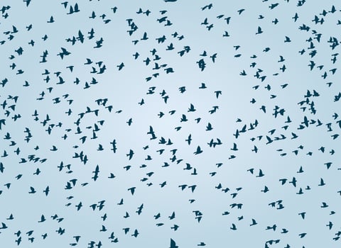 The Seamless blue background with birds. vector