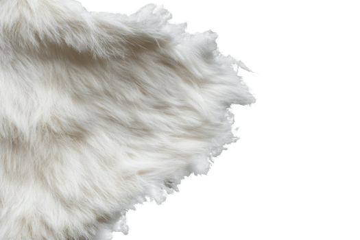 Faux Fur Texture. Soft And Luxurious Material For Fashion And Interior Design Isolated On Transparent Background png