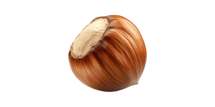 Close-Up Of A Single Hazelnut. Nutritious Snack And Culinary Ingredient Isolated On Transparent Background png