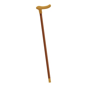 Elegant wooden walking cane with gold handle and ferrule vector