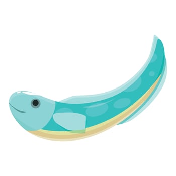 Electric eel swimming underwater, generating electricity, marine animal vector