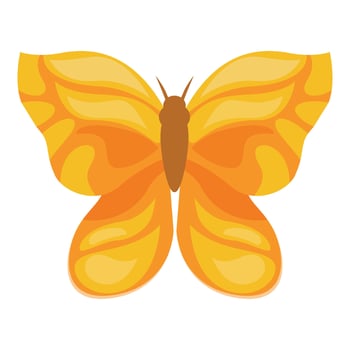 Yellow butterfly showing its wonderful wings on white background vector