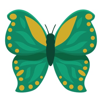 Green and yellow butterfly showing its wonderful wings vector