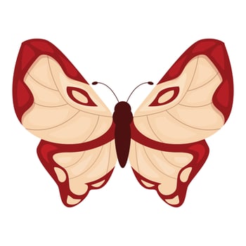 Red and beige butterfly showing its wonderful wings vector