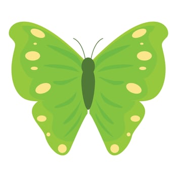 Green butterfly showing its wonderful wings vector