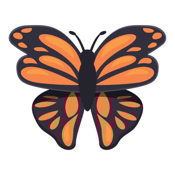 Orange and black butterfly showing its wonderful wings vector