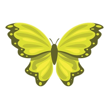 Bright yellow butterfly showing its wonderful wings vector