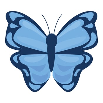 Blue butterfly showing its wonderful wings on white background vector