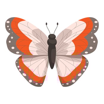 Beautiful orange and beige butterfly showing its wonderful wings vector