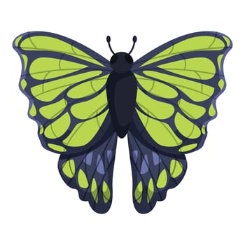 Green and blue butterfly showing its wonderful wings vector