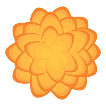 Round decorative orange flower blooming with petals forming concentric circles vector