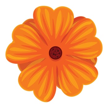 Vibrant orange cosmos flower blooming beautifully in nature vector