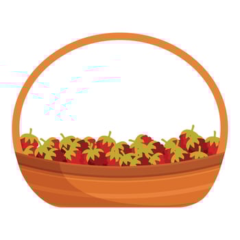 A basket full of strawberries on a white background vector