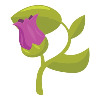 Blooming purple flower with green leaves and stem growing vector