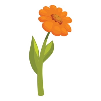 Single orange calendula flower with green stem and leaves vector