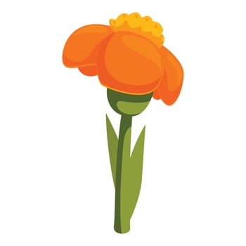 Orange calendula flower blooming with green stem and leaves vector