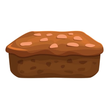 Delicious homemade brownie with chocolate chips baking on white background vector
