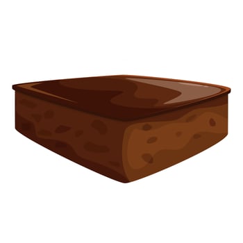 Delicious chocolate brownie showing its texture and frosted top vector