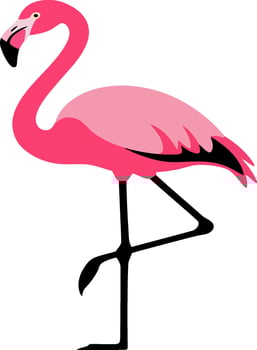 Pink Flamingo Illustration in Flat Minimal Style for Nature, Tropical, and Educational Designs vector