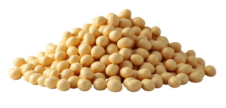 Soybean pile presented and displayed in delightful arrangement png