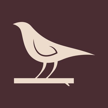 Elegant Bird Abstract Bird Silhouette Logos vector
