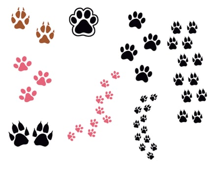 Fox Paw set icon vector